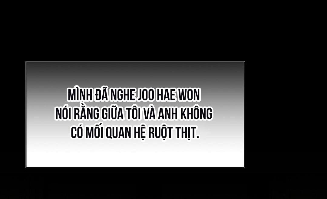 macguffin chapter 29 22