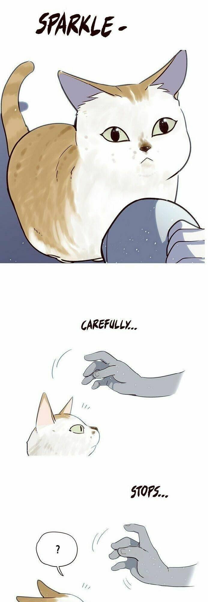 biến thân thành mèo chapter 7 12