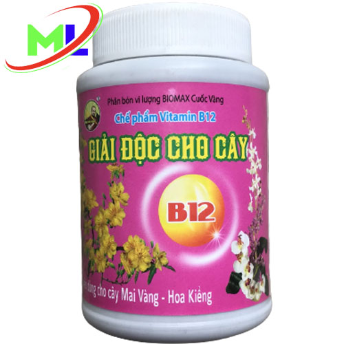 Vitamin B12 giải độc cho cây hủ 100ml