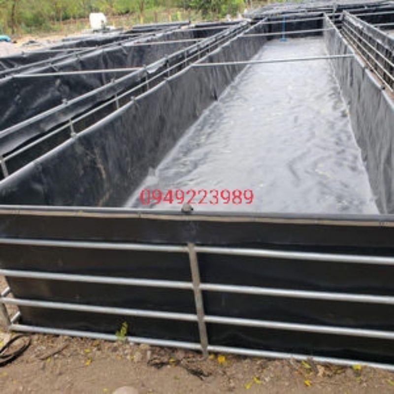 Bạt nuôi lươn,cá chạch,cá Koi KT 4x8x1m