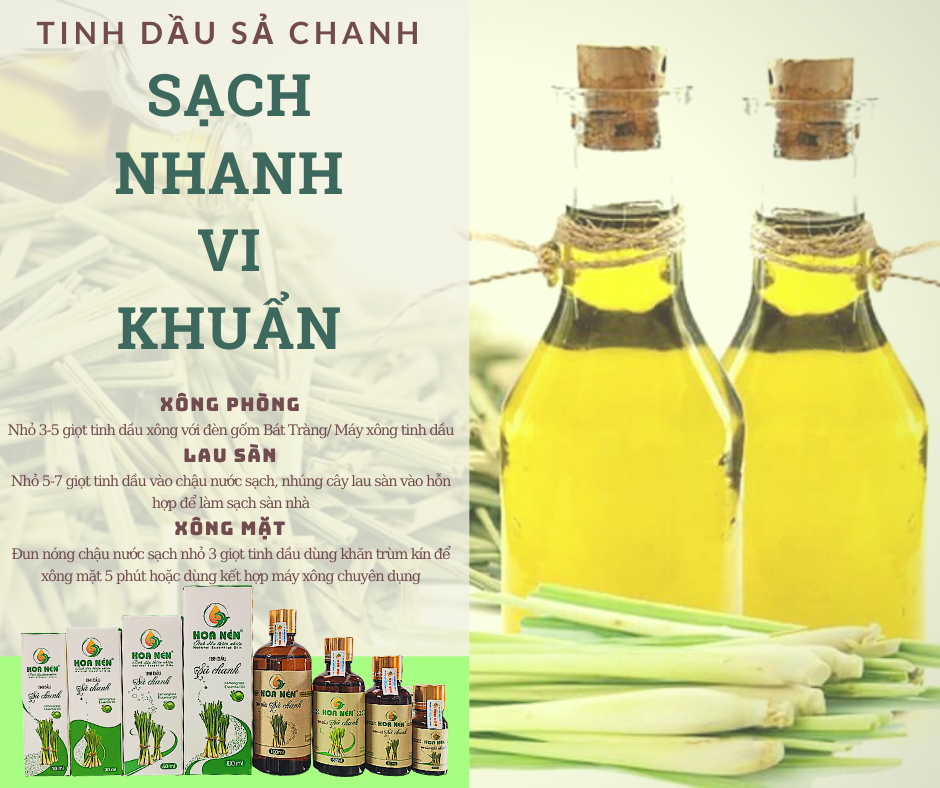 Tinh dầu Sả Chanh nguyên chất Hoa Nén 3ml - 100ml - Đuổi muỗi, khử mùi, giải cảm