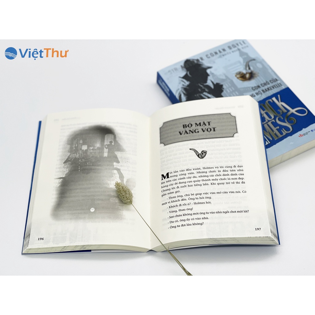 Sách - Combo 5 Tập Sherlock Holmes -