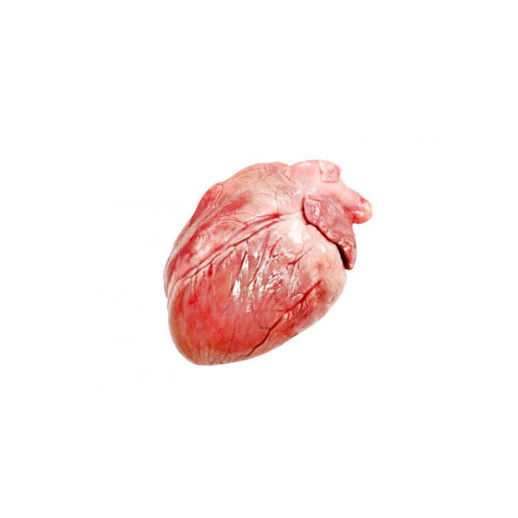 Chỉ Giao Hcm - Tim Heo Hữu Cơ Fau - 400G