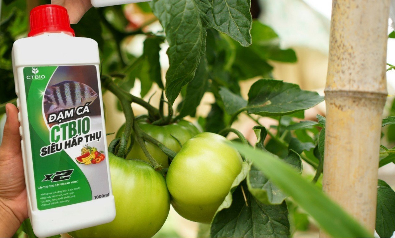 Siêu cải tạo đất với bộ 3 - Emzeo Đa chủng vi sinh vật + Đạm cá hữu cơ CTBIO +Axit Humic - giúp cải tạo cho diện tích 100m2