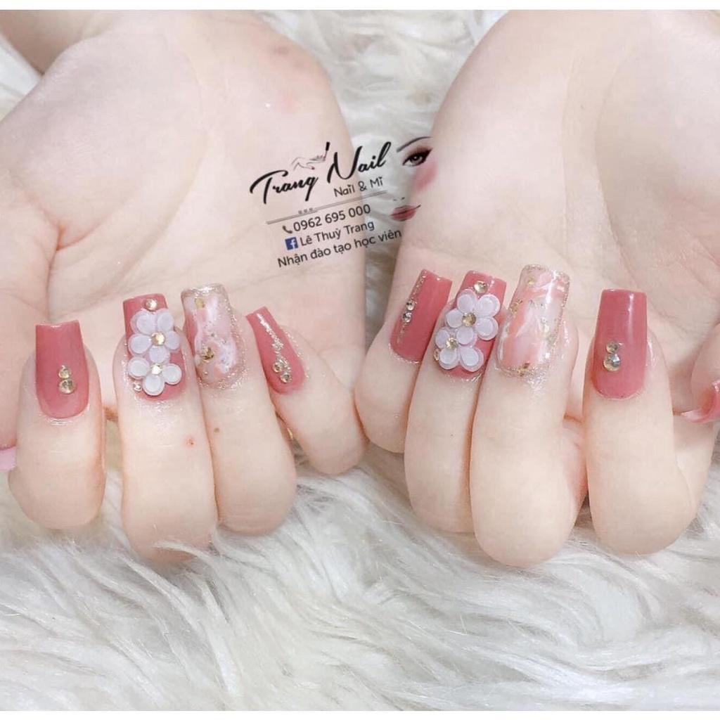 - Hoa Mai Nhí. hoa mai kép- hoa mai đơn-tiền thần tài 100% Bột Mỹ- Trang Trí Móng -hoa bột