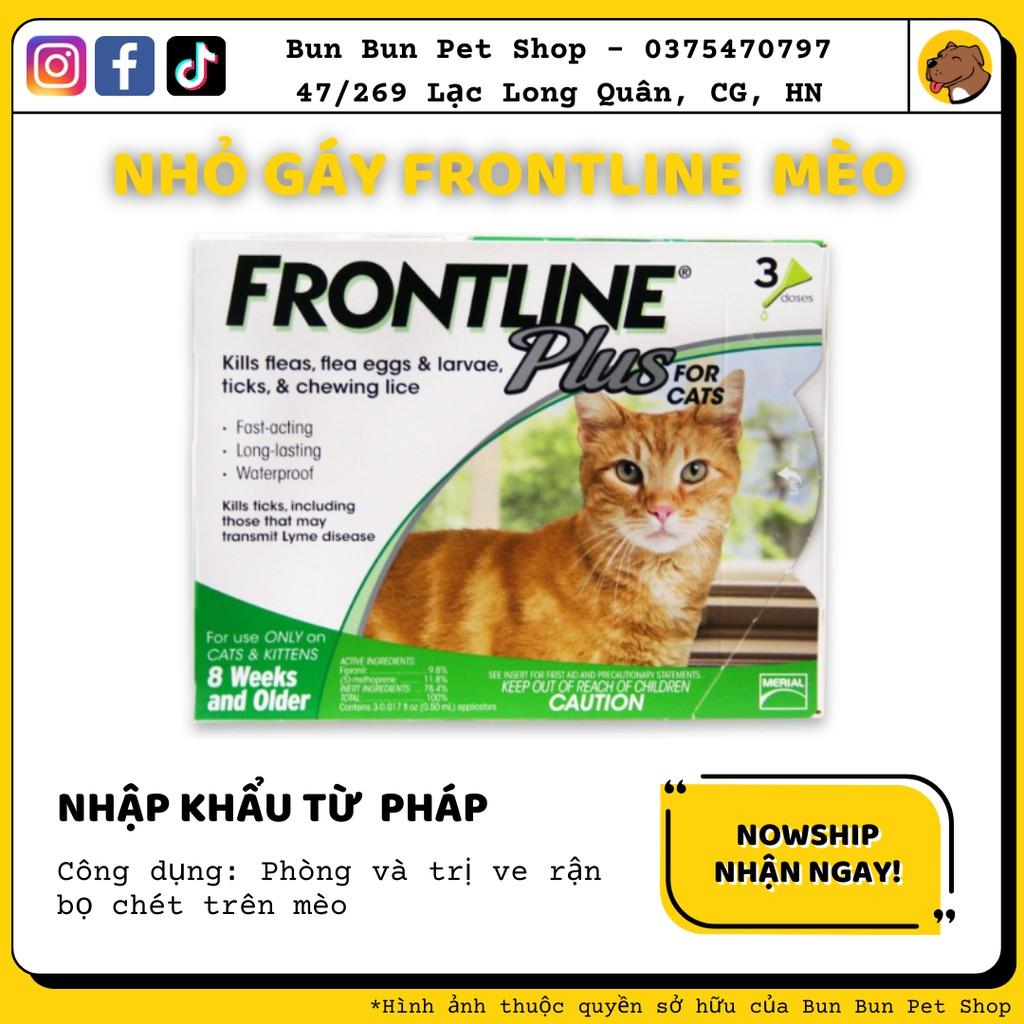Nhỏ gáy Frontline cho mèo