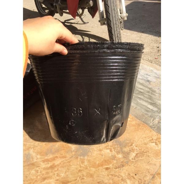 1kg bầu ươm cây mã 36x30 chỉ 55 nghìn