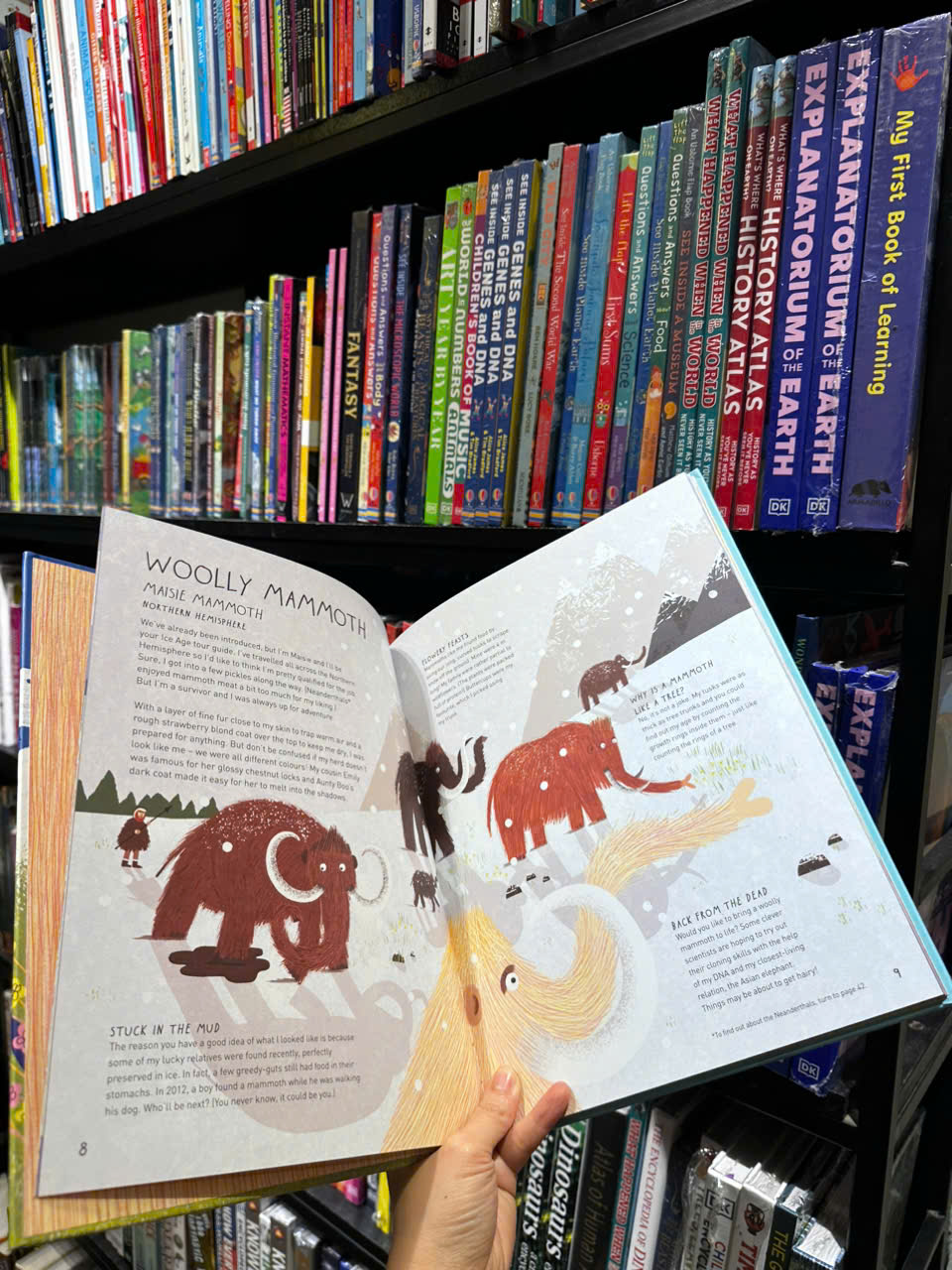 Sách - Maisie Mammoth's Memoirs by Rob Hodgson - Sách ngoại văn, sách thiếu nhi tiếng Anh, bìa cứng, nhập khẩu UK