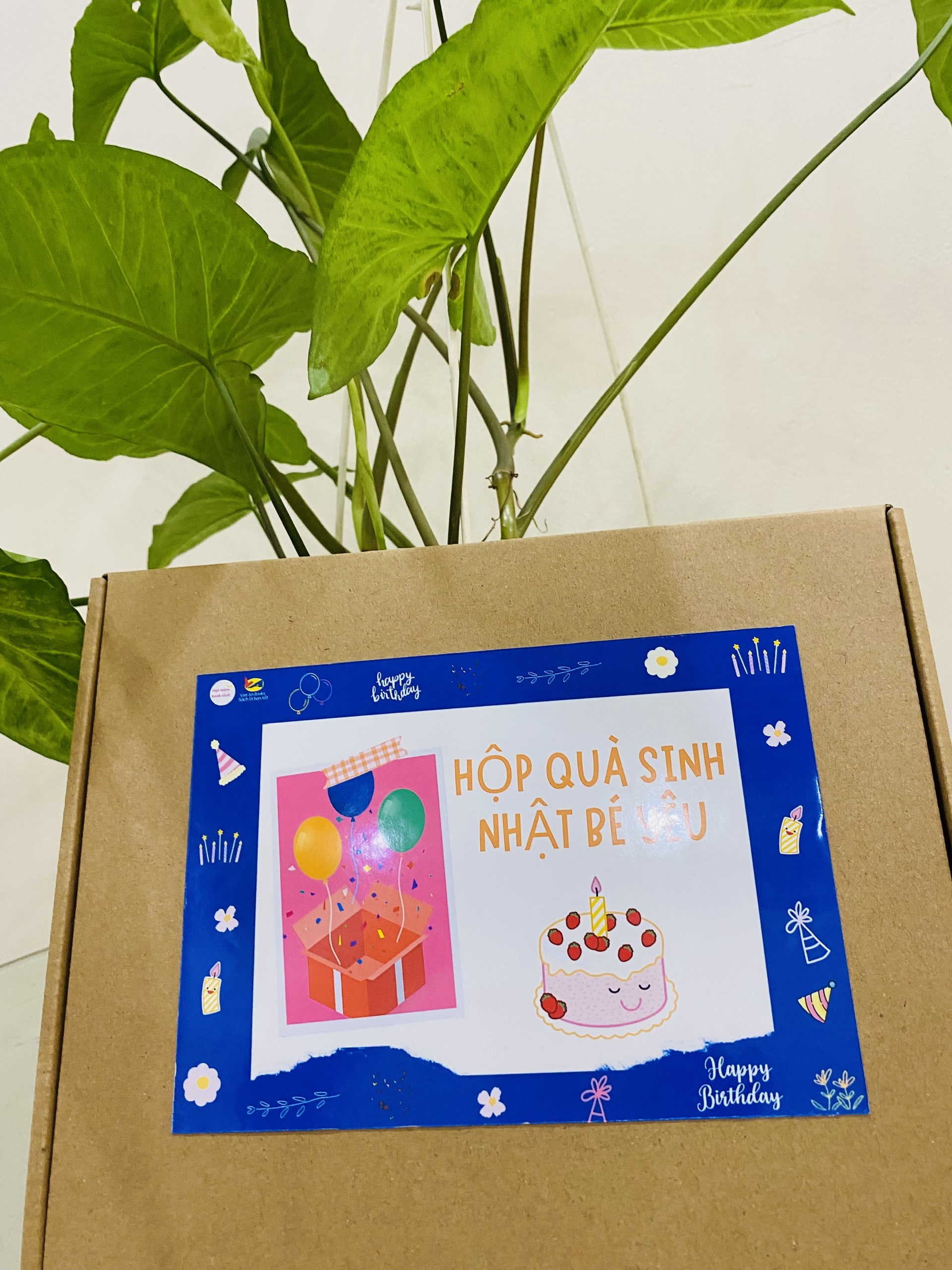 HỘP QUÀ SINH NHẬT BÉ GÁI 6 - 9 TUỔI