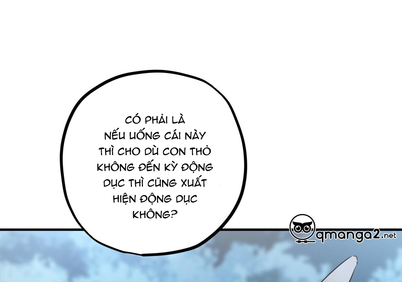 đàn thỏ của habibi chapter 20 48