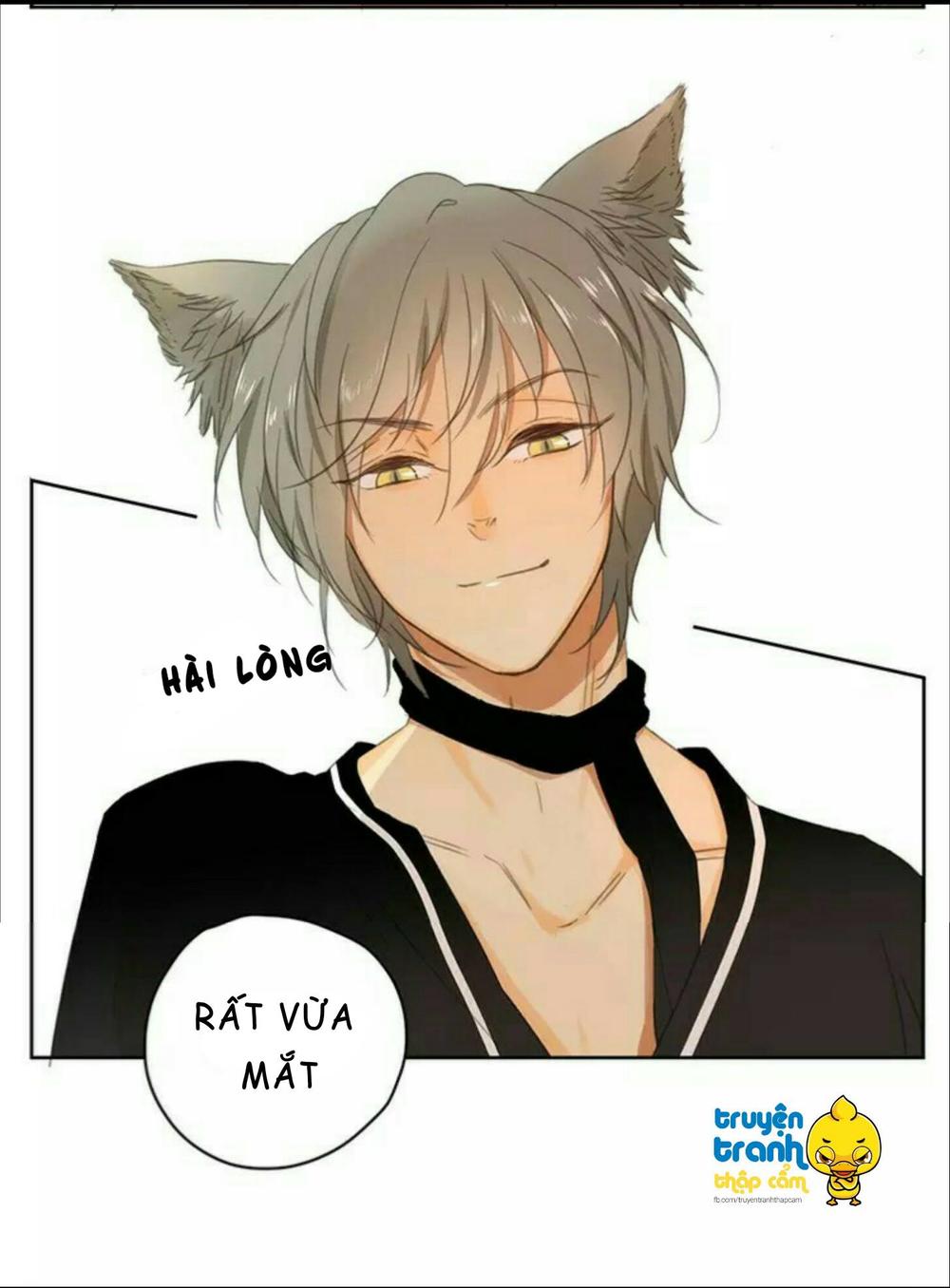 cứu mạng ! loài mèo thống trị thế giới rồi ! chapter 36 23