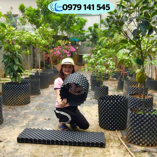 Bầu ươm thông minh V6 dày 0.7 - Phụ Kiện Bầu Ươm Thông Minh - Bầu Ươm, Đế Nhựa Lót Đáy Bầu Ươm, Đinh Ốc - Dùng cho cây cảnh, rau màu, cây ăn trái