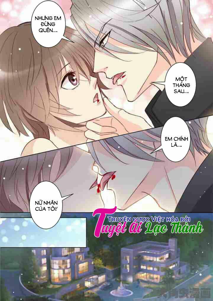 the stars are not luminous body chapter 43 6