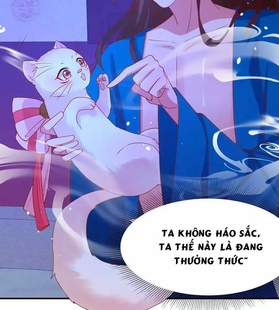 dưỡng thú vi phi chapter 8 12