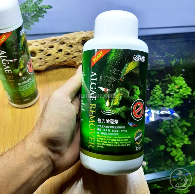 ISTA Premium Algae Remover | Chế Phẩm Diệt Rêu Hại Cho Bể Thuỷ Sinh