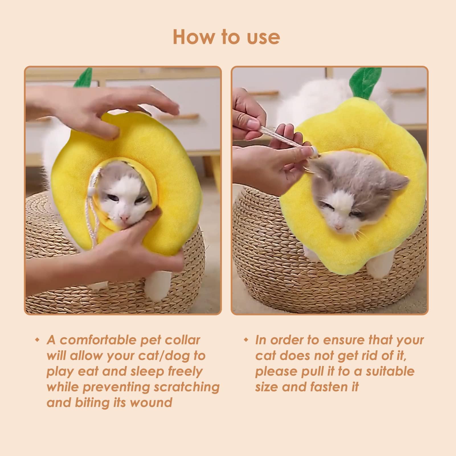 Mèo chó nhỏ Ruff bảo vệ, điều chỉnh cổ áo chống cắn cho chó mèo Cổ COLLEY COLLEY COLLAR PRESSENT