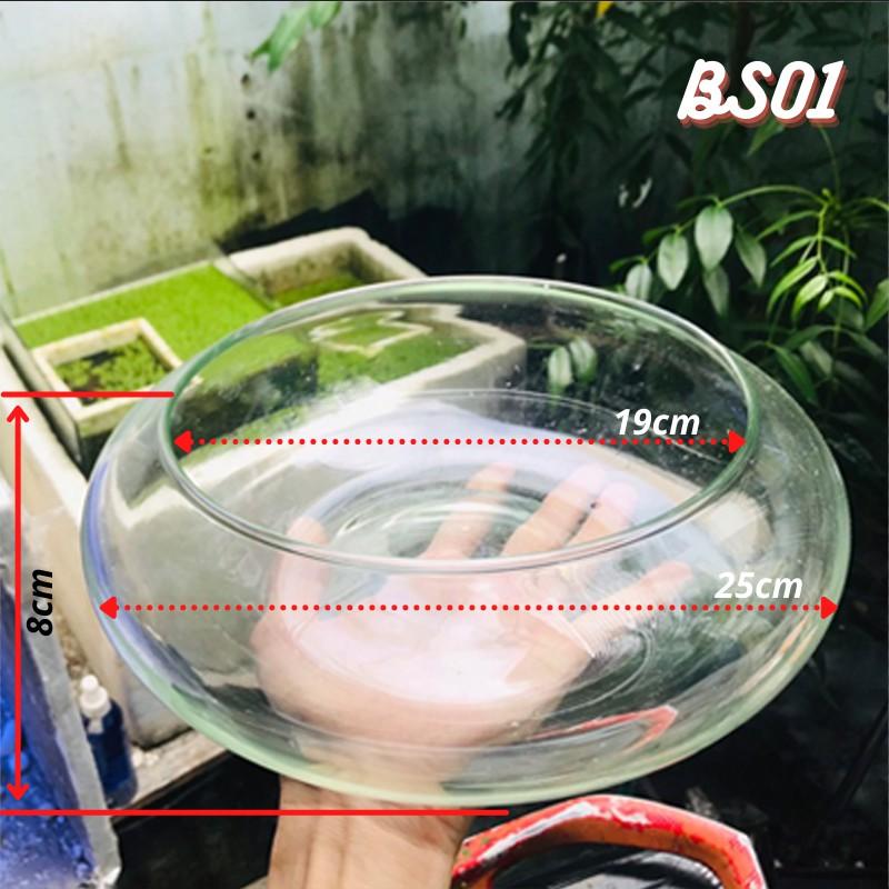 Bể cá mini, bể cá TRÒN THẤP