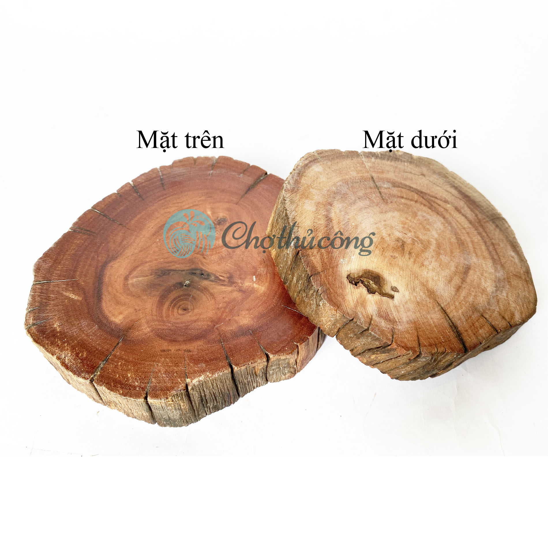 Lót cốc, đế lót ly gỗ lũa tự nhiên - Miếng gỗ tròn decor - đế gỗ tròn lót chậu cây, đế gỗ kê tượng, lát gỗ trang trí