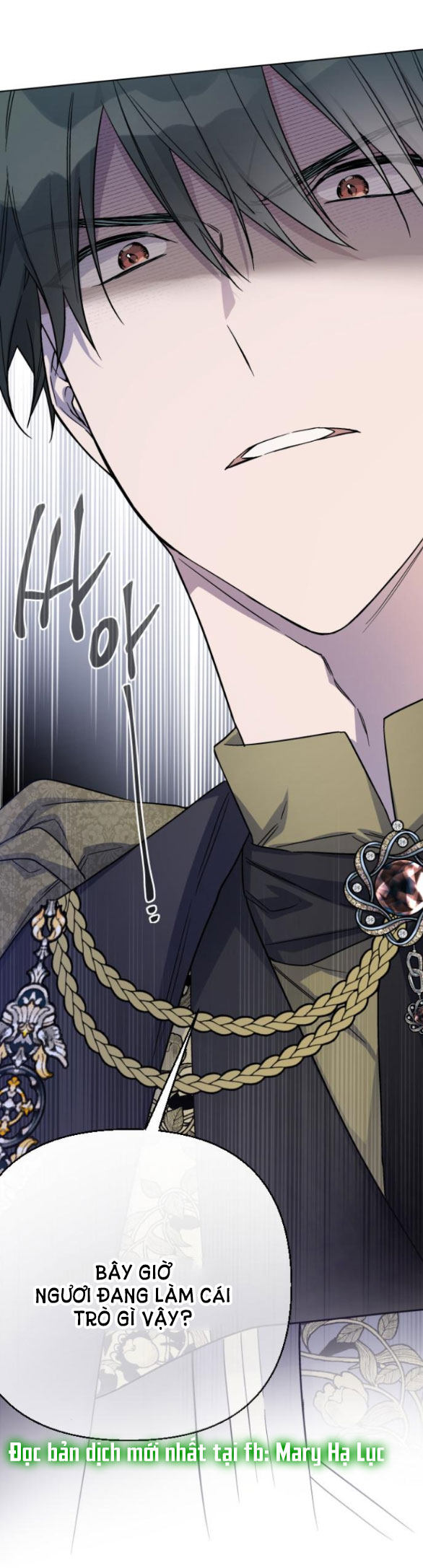 cách hiệp sĩ sống như một tiểu thư chapter 89.2 33