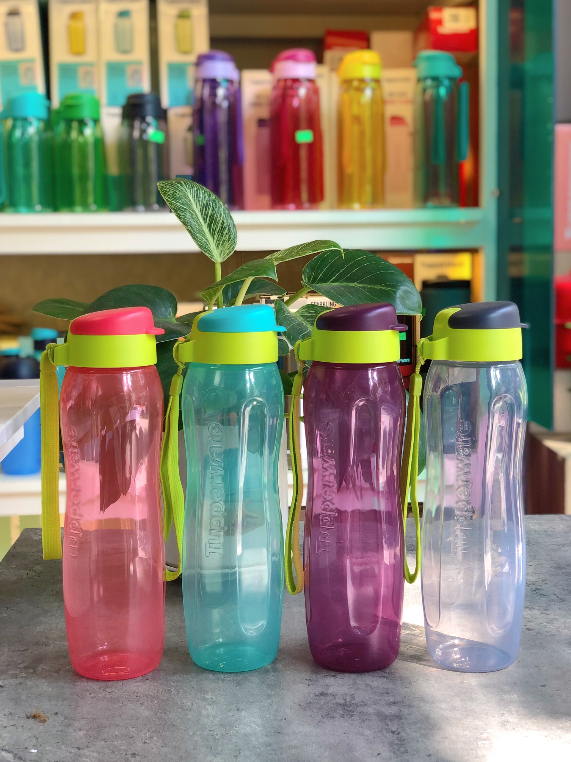 Bình Nước Eco Bottle Gen II 750ml - Tupperware. Hàng chính hãng