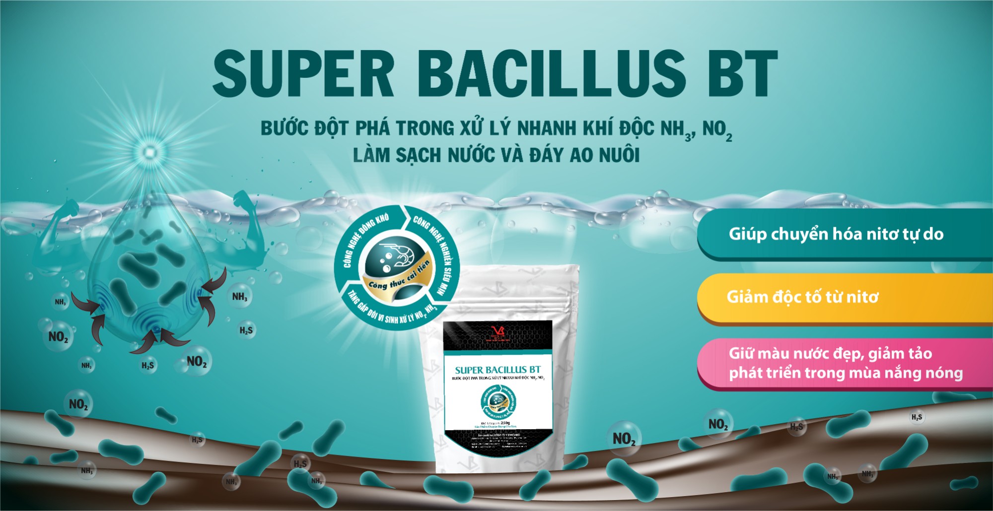 Men vi sinh giảm khí độc NH3, H2S, NO2 trong ao nuôi tôm.