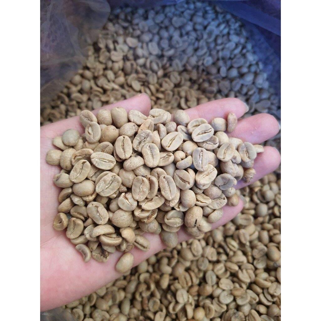 Cà phê nhân xanh Arabica từ cao nguyên Lâm Đồng Việt Nam 1kg