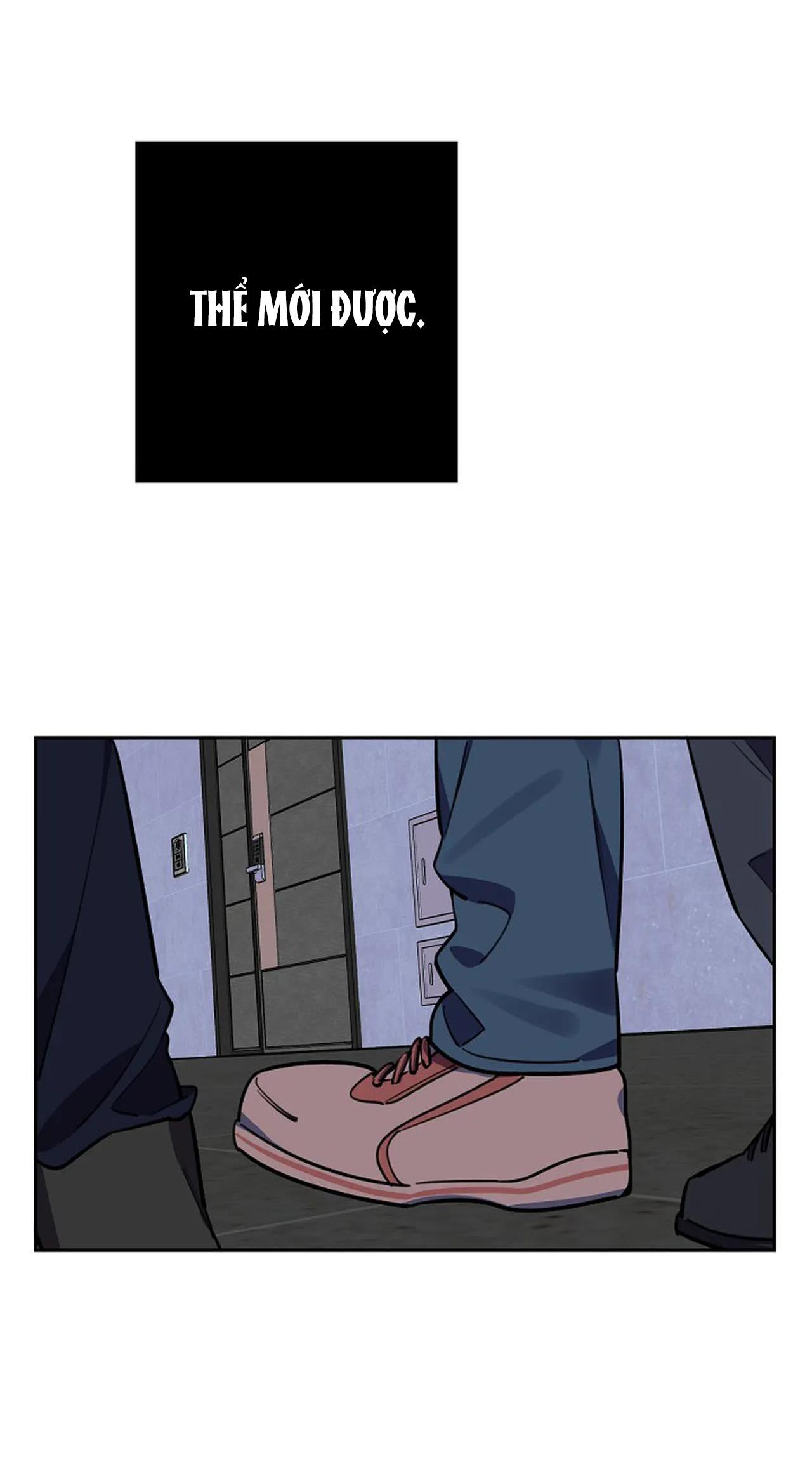 đêm dịu dàng chapter 54 31