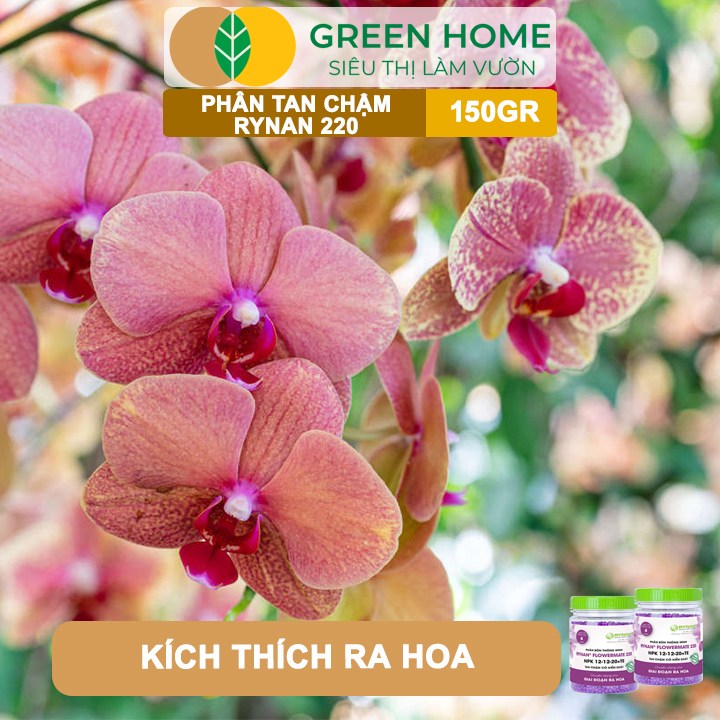Phân Tan Chậm Greenhome, Rynan 220, Chai 150gr, Dùng Cho Phong Lan Ra Hoa, Giúp Hoa Bền Màu, Cánh Dày, To, Thơm Lâu