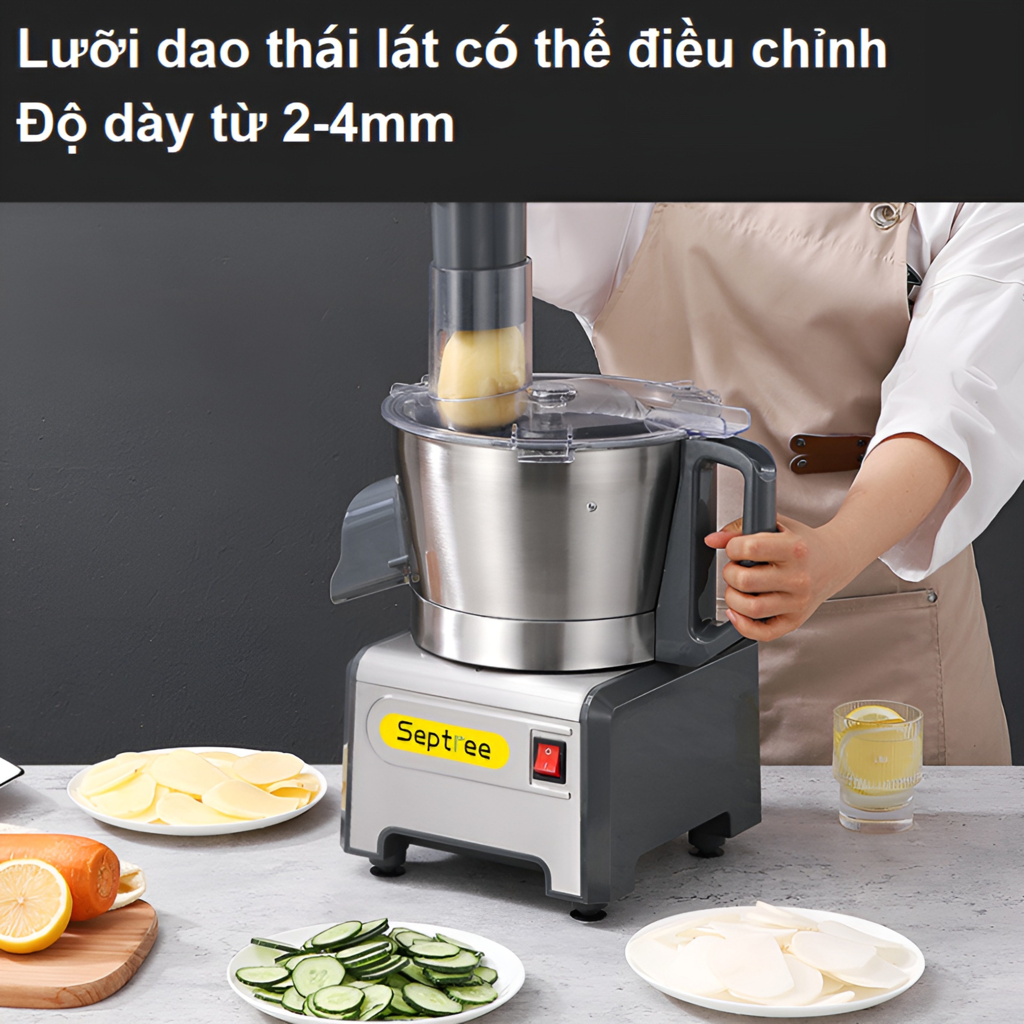Máy Thái Rau Củ Đa Năng Septree Q1F Thương Hiệu Mỹ, Công Suất Lớn 300W Hoạt Động 8 Tiếng Liên Tục, Cắt Lát, Sợi, Hạt Lựu - Bảo Hành 1 Năm, Hàng Nhập Khẩu