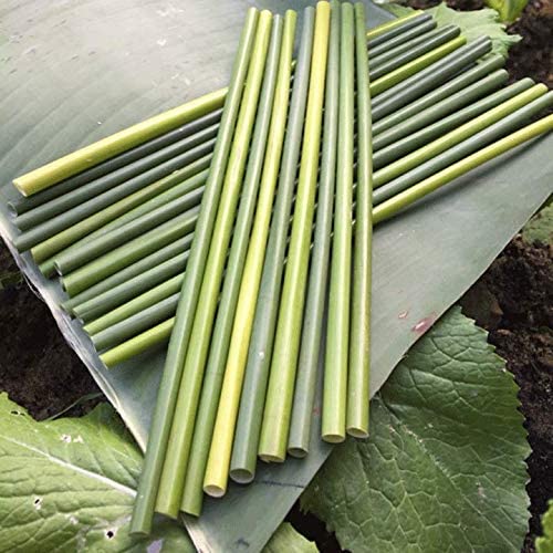 Ống hút cỏ bàng