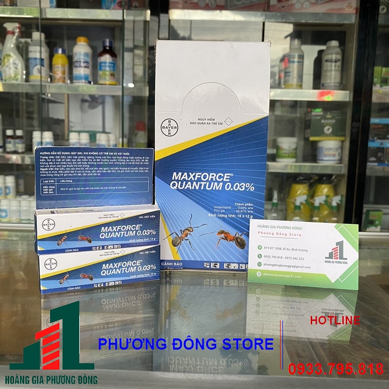 Thuốc diệt kiến MAXFORCE QUANTUM 0.03% _ 12g