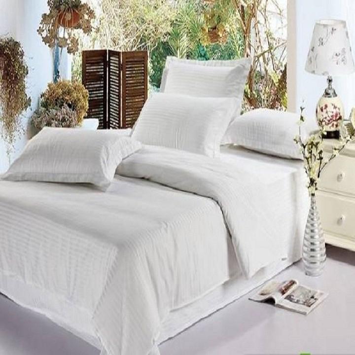 Set Bộ 4 Món Ga Gối Khách Sạn - 100% Cotton Cao Cấp : Đủ Size