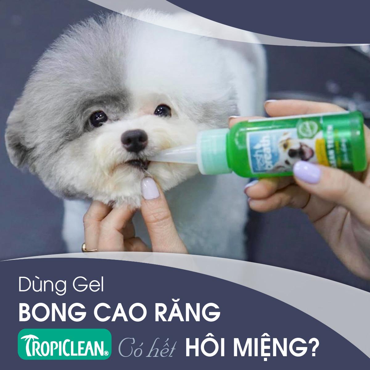 Gel TropiClean vệ sinh răng miệng chó con, giảm mùi hôi, mảng bám (Mỹ)