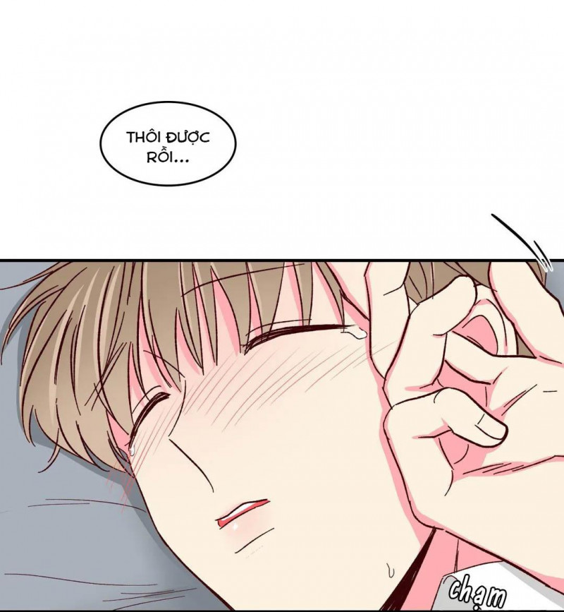 món tráng miệng của sếp tổng chapter 46 20