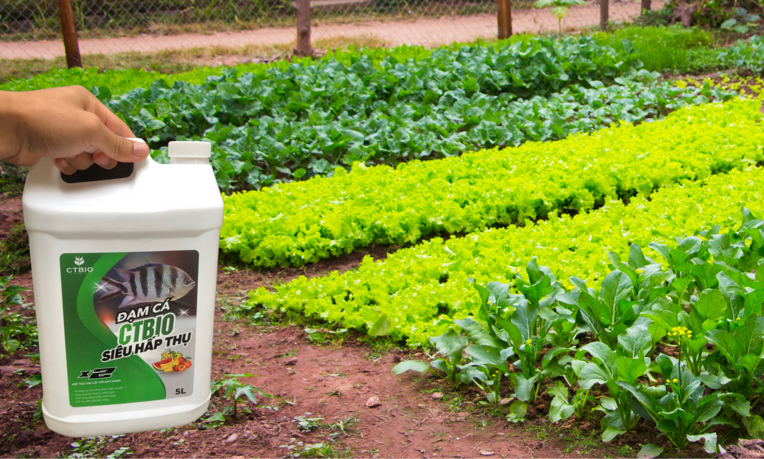 Combo 25 lít đạm cá + 3kg axit humic kích rễ cải tạo đất