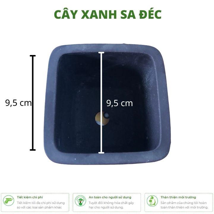 Chậu vuông mini CK7 màu trơn thanh lịch dùng trồng cây để bàn, văn phòng, quán cafe, nhà hàng, khách sạn
