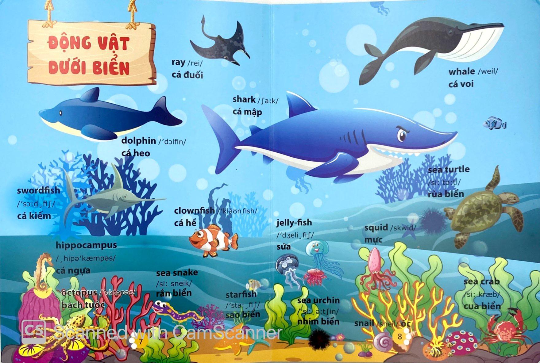 Từ Điển Phát Triển Ngôn Ngữ Bằng Hình Dành Cho Trẻ Mầm Non - Chủ Đề: Động Vật