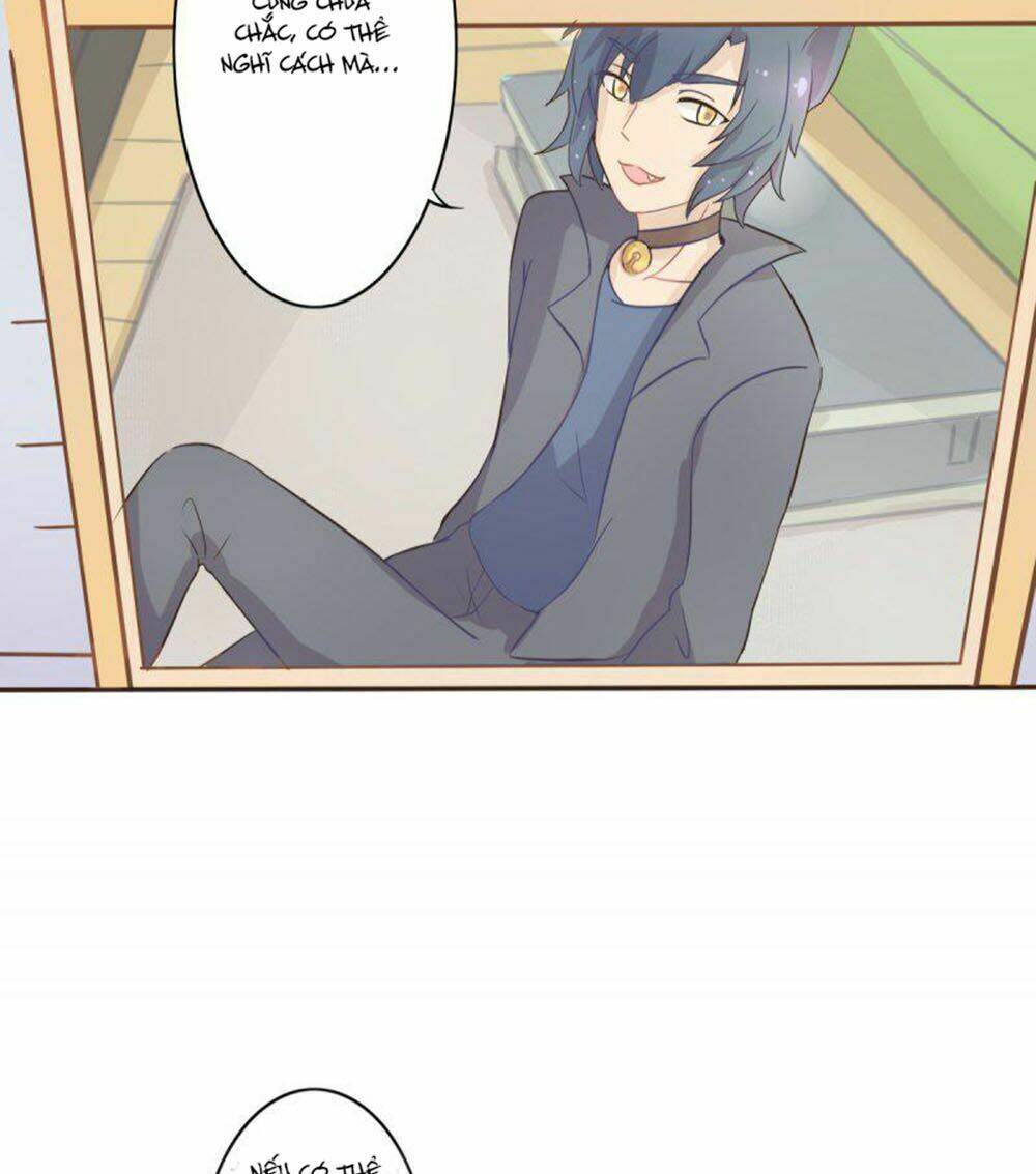 hai chú mèo totem chapter 1 29