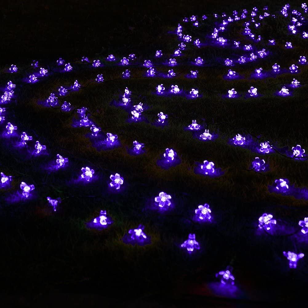 Dây Đèn Led 21ft 50 Bóng Màu Tím Trang Trí Tiệc