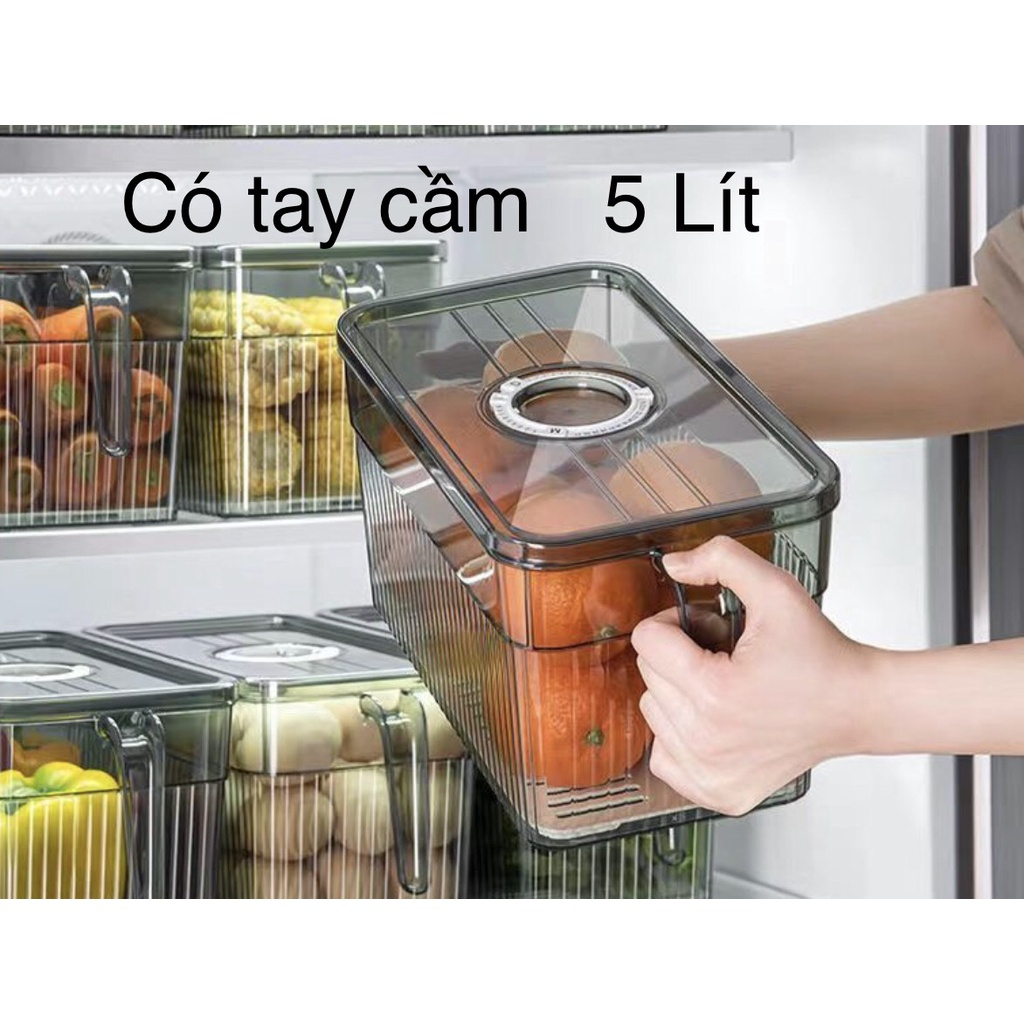 Hộp Đựng Thực Phẩm Tủ Lạnh Loại To 5L Có Quai Xách Và Giá Lỗ Tách Nước Tiện Lợi Phân Phối Chính Hãng 