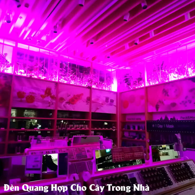 Đèn Quang Hợp Trồng Cây Trong Nhà Green Smart Light 30W (đèn dài 1.2 mét) được ứng dụng rộng rãi như trồng rau sạch tại nhà, trồng cây cảnh trong nhà, cây văn phòng, trồng rau thủy canh, các mô hình nuôi cây mô và cây con