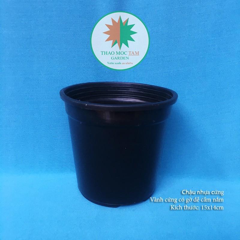 05c Chậu nhựa cứng 15x14cm – Chậu nhựa tròn, dày thích hợp trồng cây hoa, cây kiểng nhỏ, ươm trồng cây.