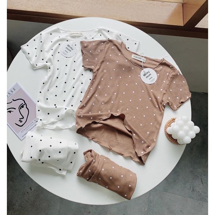 Bộ cotton co dãn cho bé 7-20kg