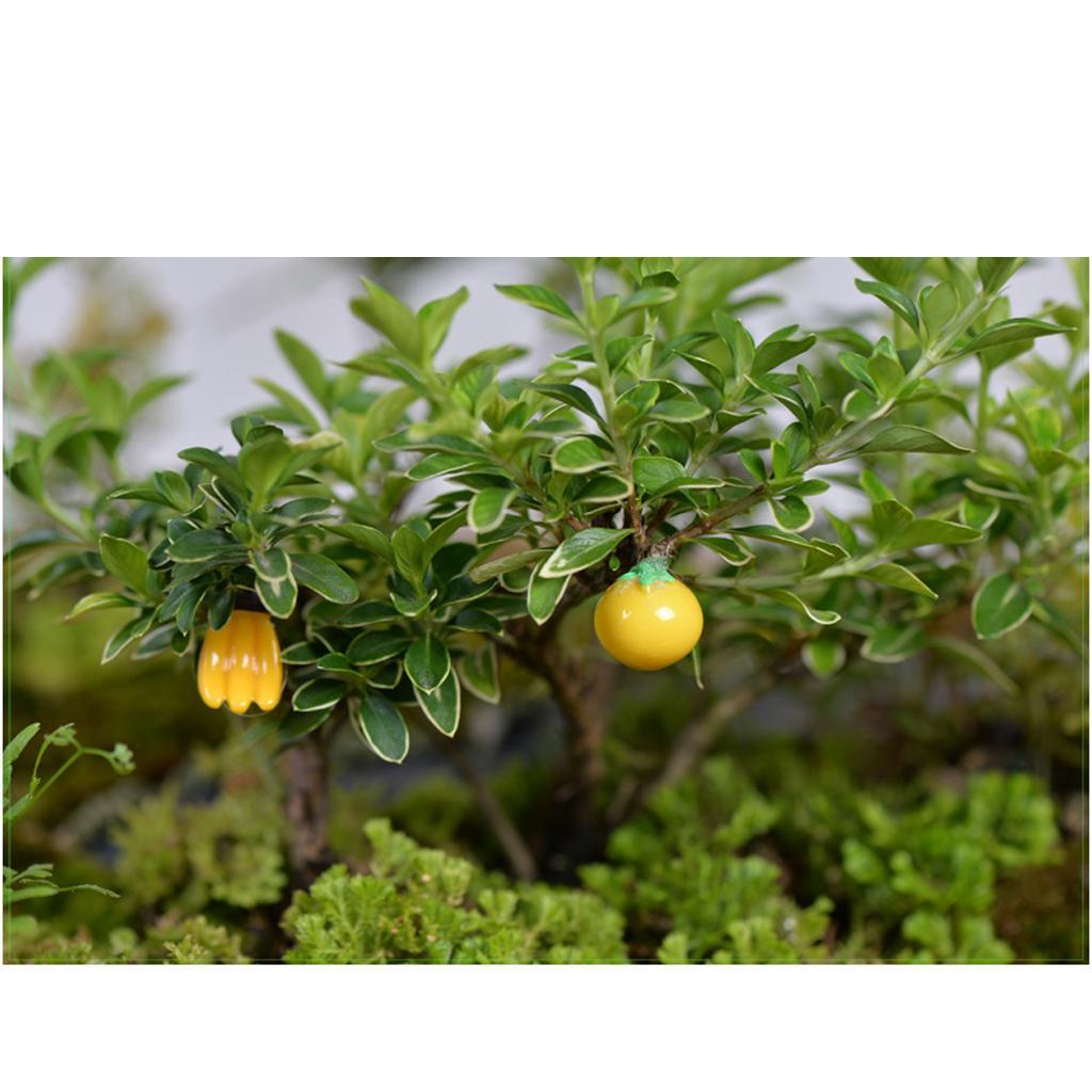 2x10 Pieces Micro Landscape Resin Fruit Ornament Garden DIY Apple Red