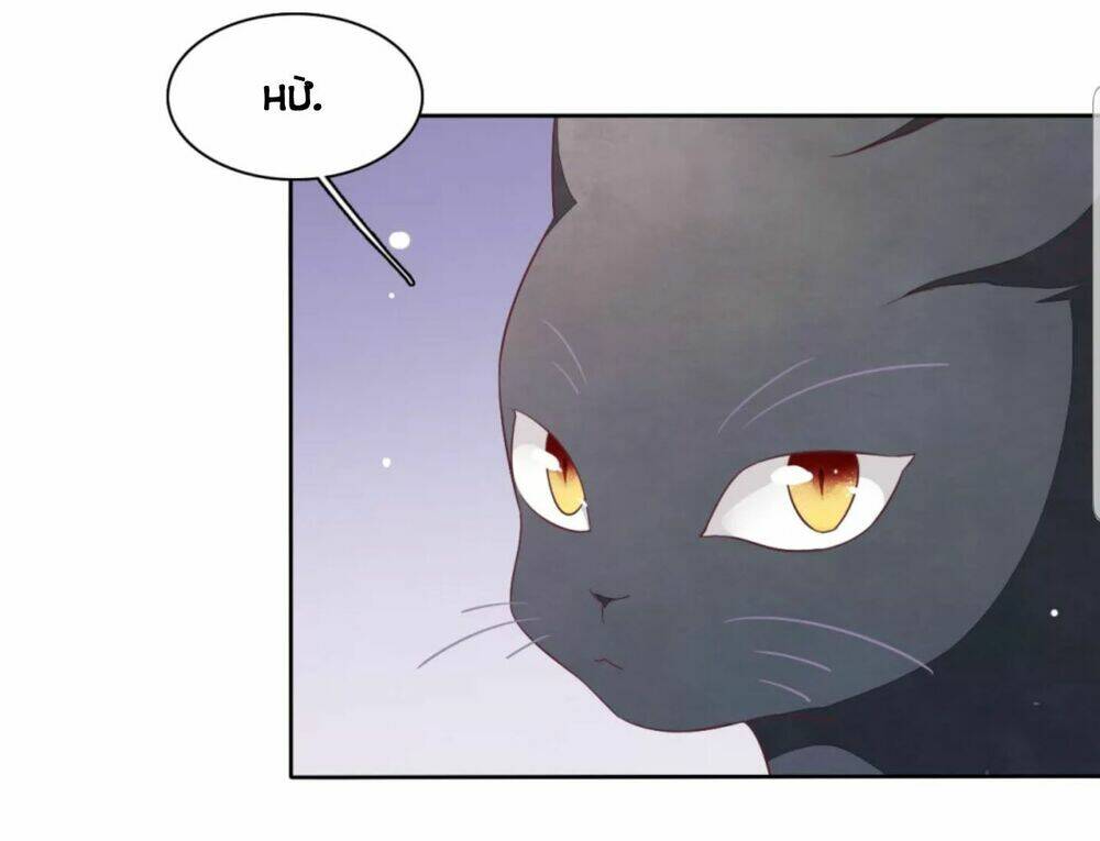 xuyên về cổ đại làm quốc bảo chapter 30 15