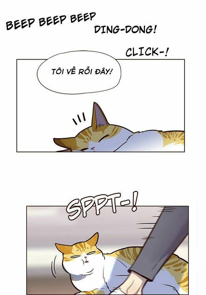 biến thân thành mèo chapter 11 77