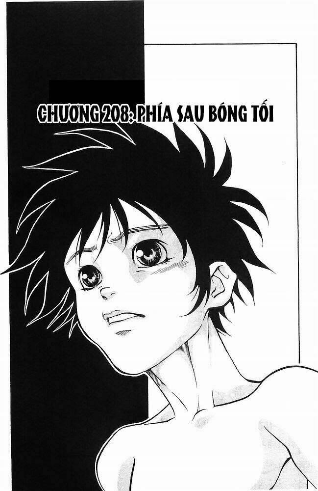 vua trên biển chapter 208 2