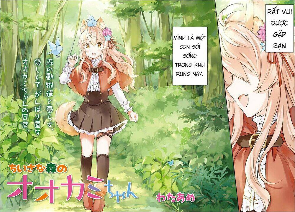 the wolf of the small forest chapter 1 4