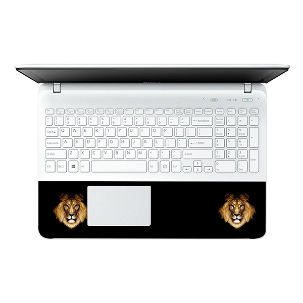 Mẫu Dán Decal Laptop Nghệ Thuật  LTNT- 13