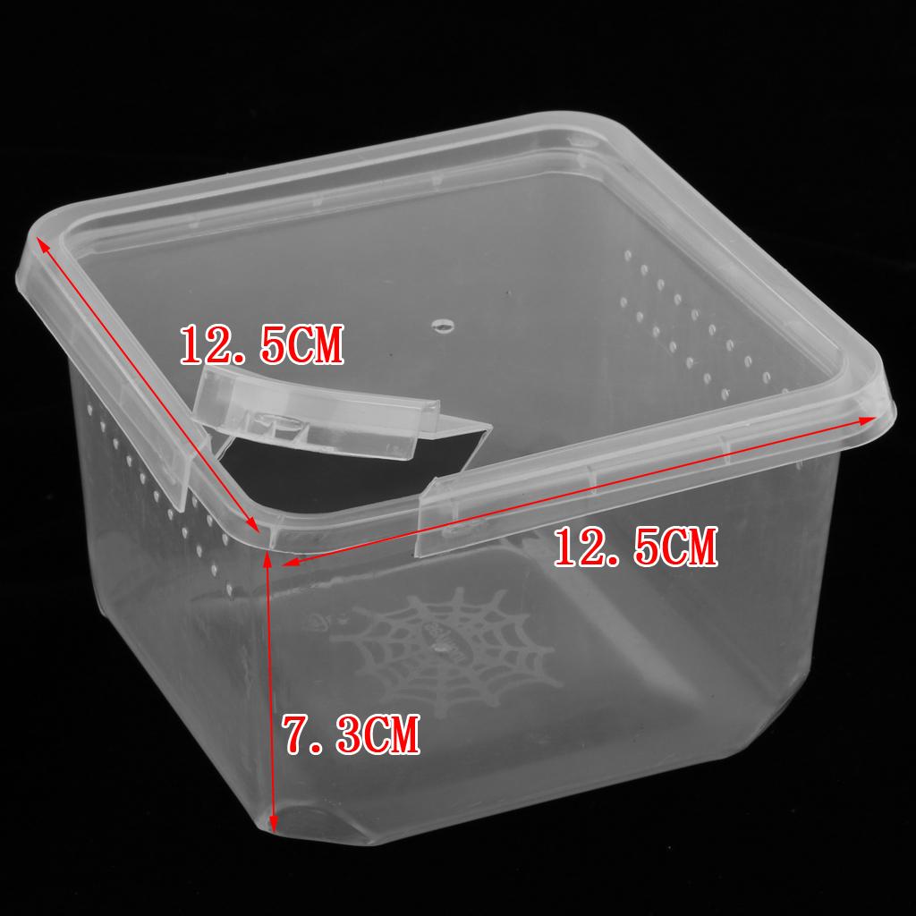 Reptiles Terrariums Feeding Box for Spider Insect Cricket Snail Frog L